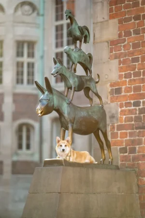 Bremen_Luxemburg_Belgien_City_Stadt_Hunde12