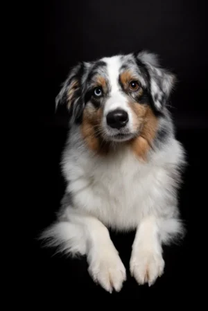 Aussi Huendin im Fotostudio